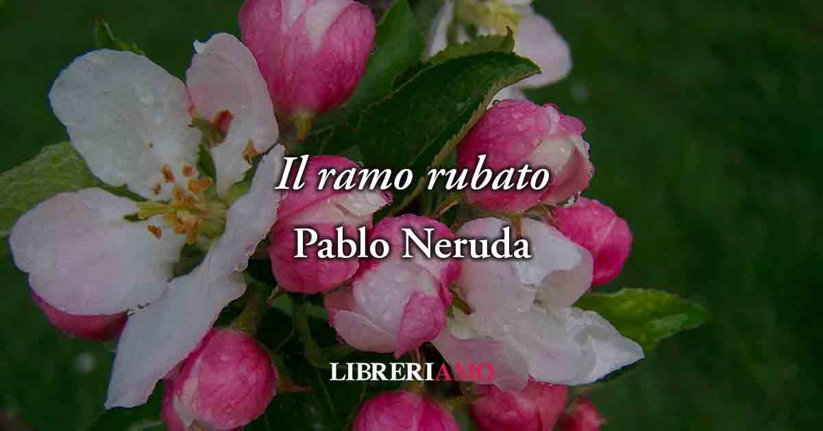 Il ramo rubato (1952) di Pablo Neruda, poesia sull'amore che merita libertà