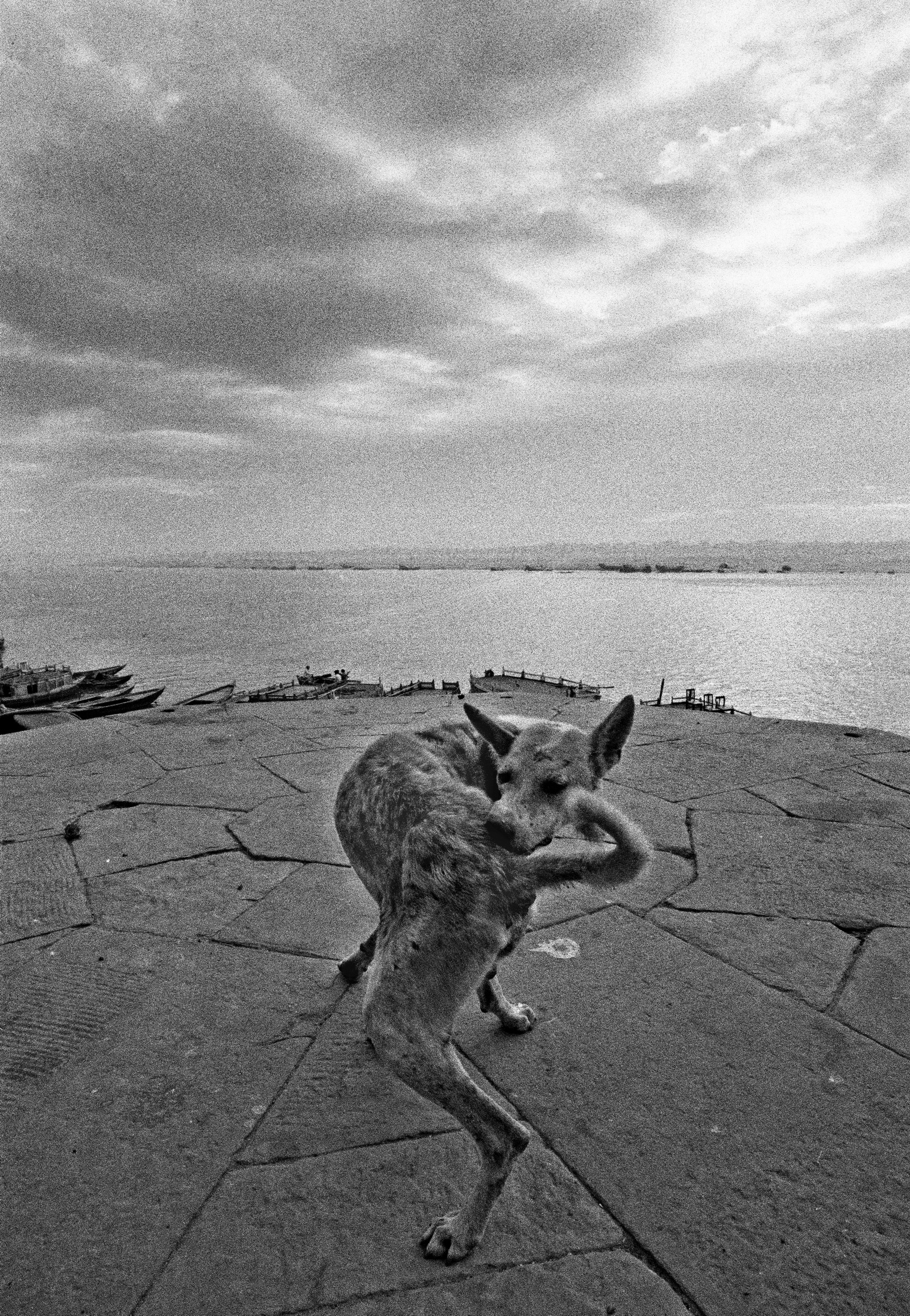 Beirut, Libano, 1982©Steve McCurry