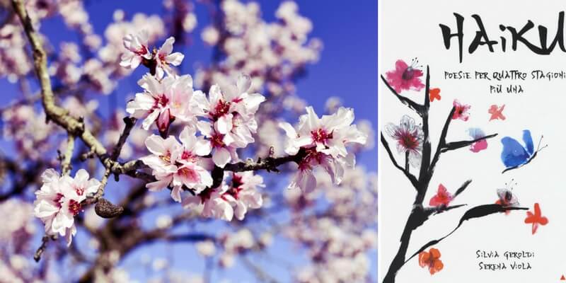 Come gli haiku prendono vita sul foglio