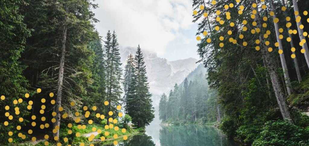 "La pioggia nel pineto" di D'Annunzio, i suoni della natura che si trasformano in musica