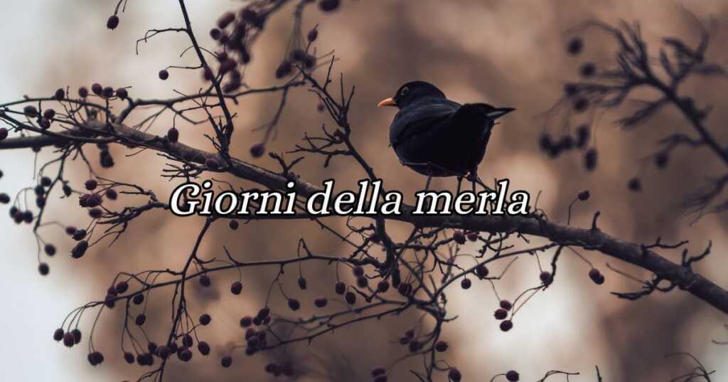 "I giorni della merla", origine e significato del modo di dire
