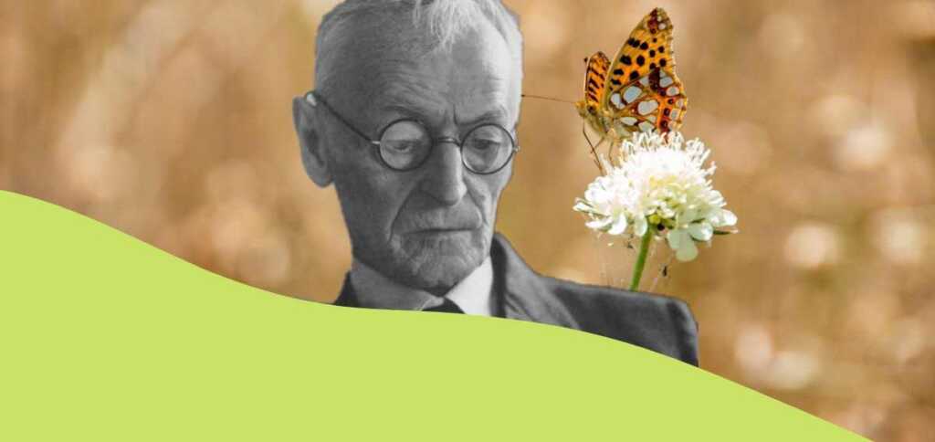“Tiepide sere estive”, la stagione più bella secondo Hermann Hesse