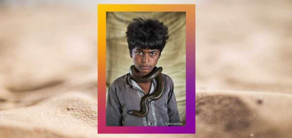 "Animals", la fotografia di Steve McCurry per salvare il mondo animale