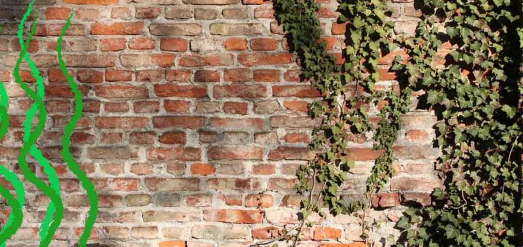 "Edera primaverile", una poesia di Gabriele D'Annunzio dedicata a marzo