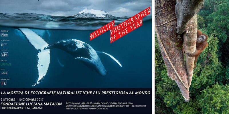 Le bellezze e la diversità della natura in mostra a Milano