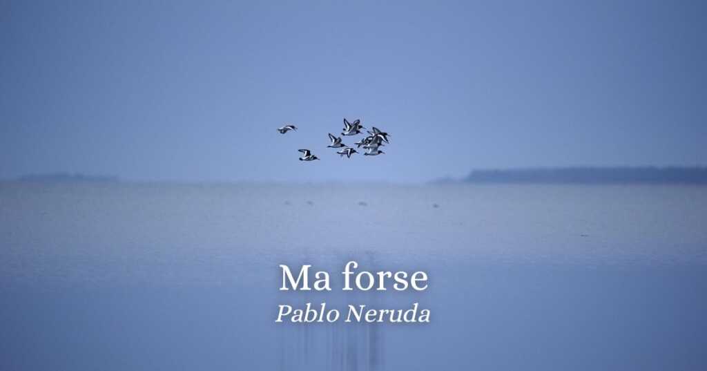 “Ma forse” (1972), la poesia di Pablo Neruda che canta il mistero della vita