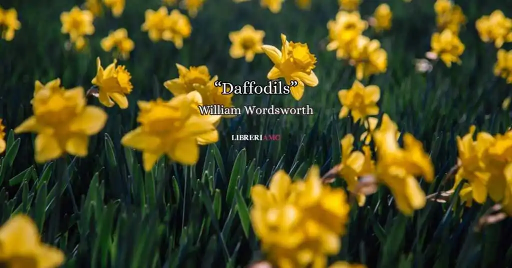 daffodils