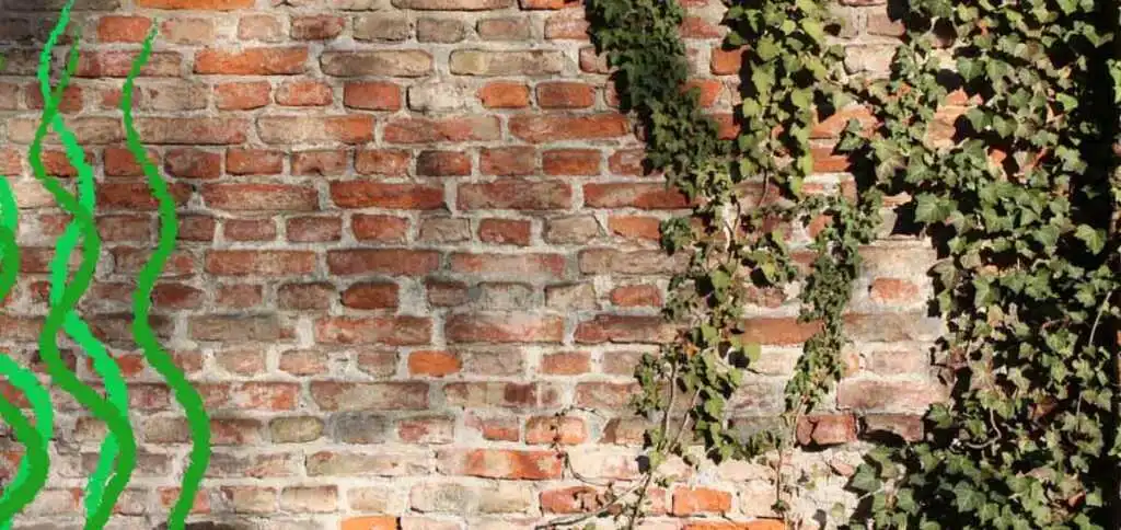 "Edera primaverile", una poesia di Gabriele D'Annunzio dedicata a marzo