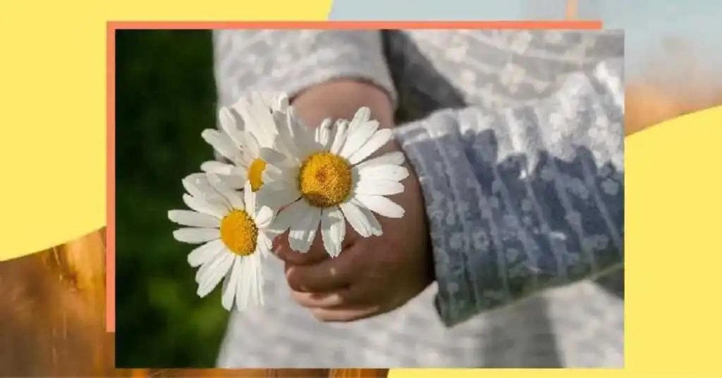 Perché è importante educare alla gentilezza fin da piccoli