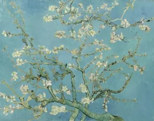 Ramo di mandorle in fiore