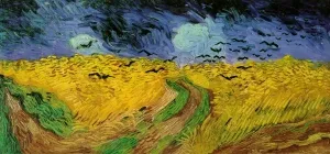 Campo di grano con voli di corvo