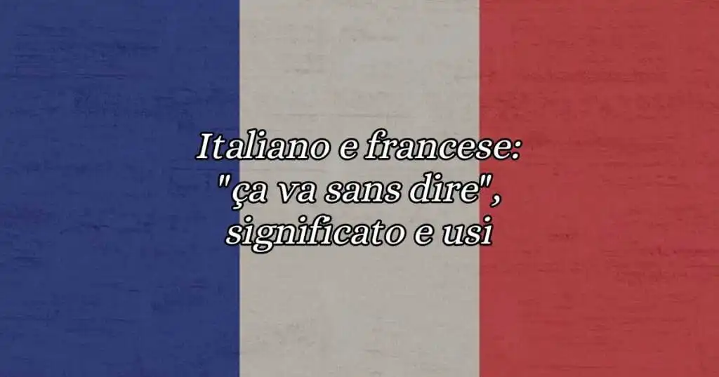 Italiano e francese ça va sans dire, significato e usi