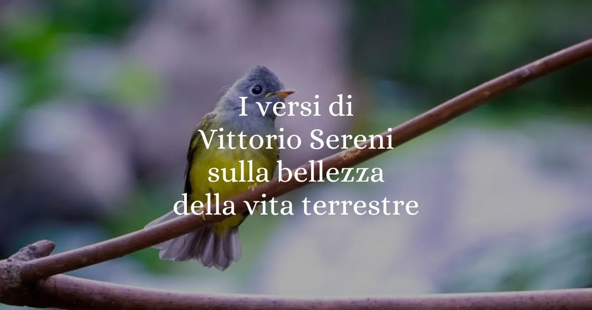 I versi di Vittorio Sereni sulla bellezza della vita terrestre